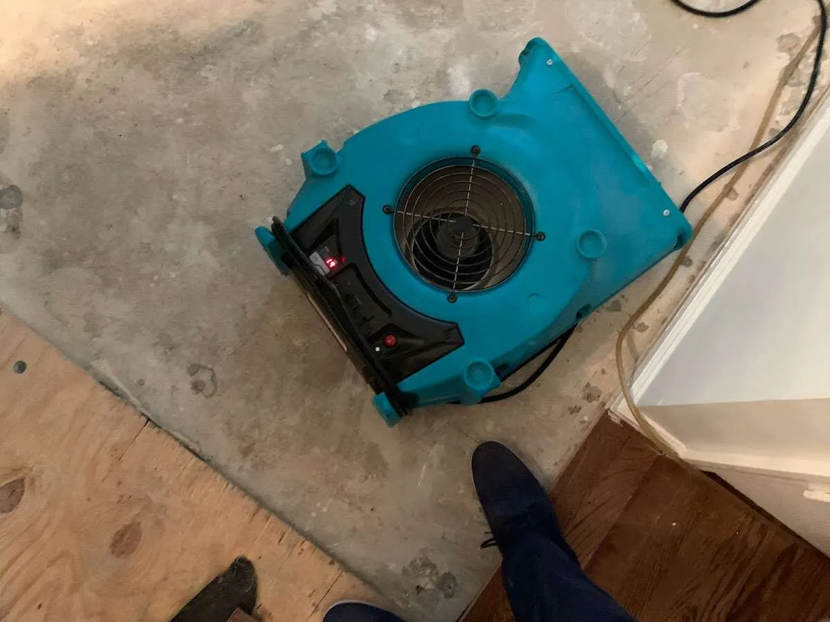 Air mover drying subfloor during Commercial Water Damage Restoration in Pittsfield